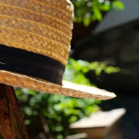 Comfortable With Pool In - 50 M² Apartmán *